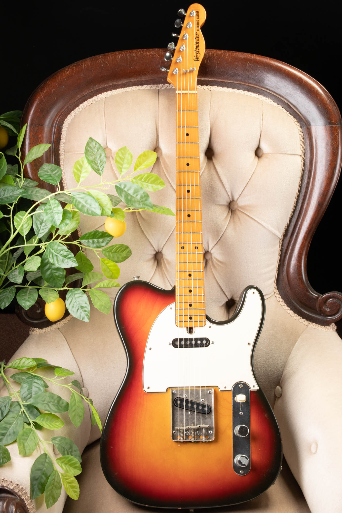 ギター WESTMINSTER EG-360T 1976 JAPAN VINTAGE ギター WESTMINSTER EG-360T 1976 JAPAN VINTAGE Westminster